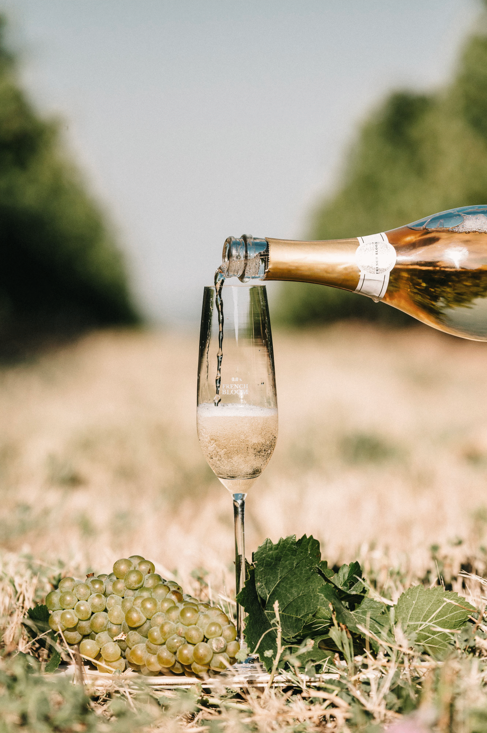 So, What is Brut?