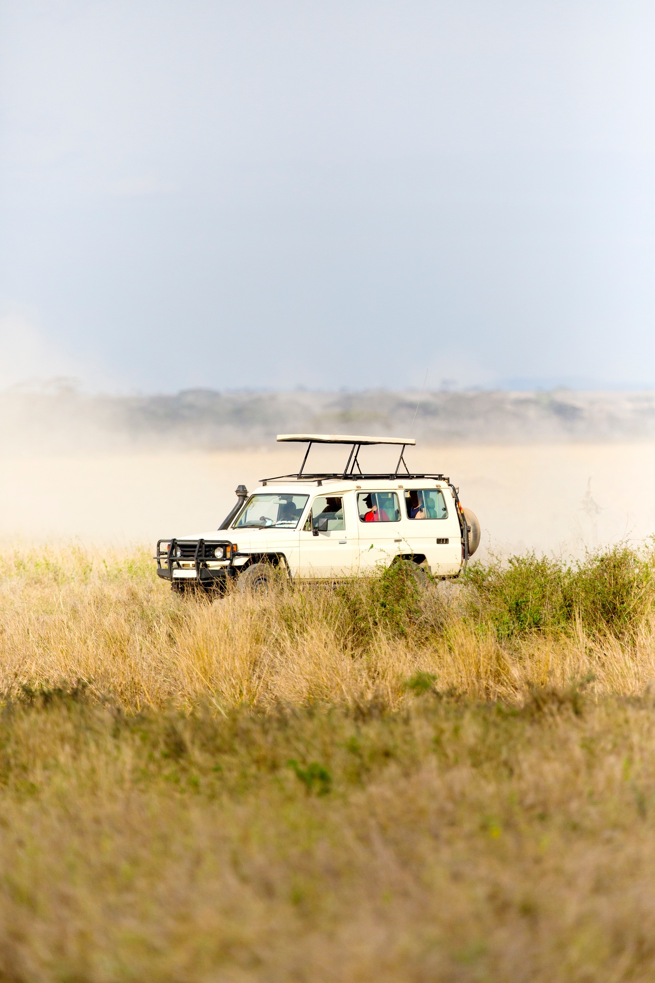 Safari tourists on game drive in Serengeti Safari tourists on game drive in Serengeti